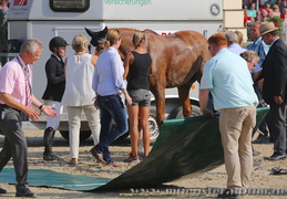 Turnier der Sieger 2015